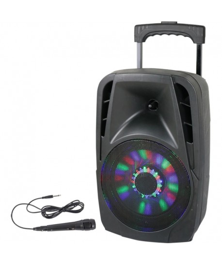 BST PARTY-8LED, Diffusore Audio a Batterie con Bluetooth, USB, Radio e  Microfono con Cavo